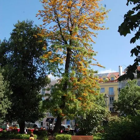 Guest house Principe Real Lisbon